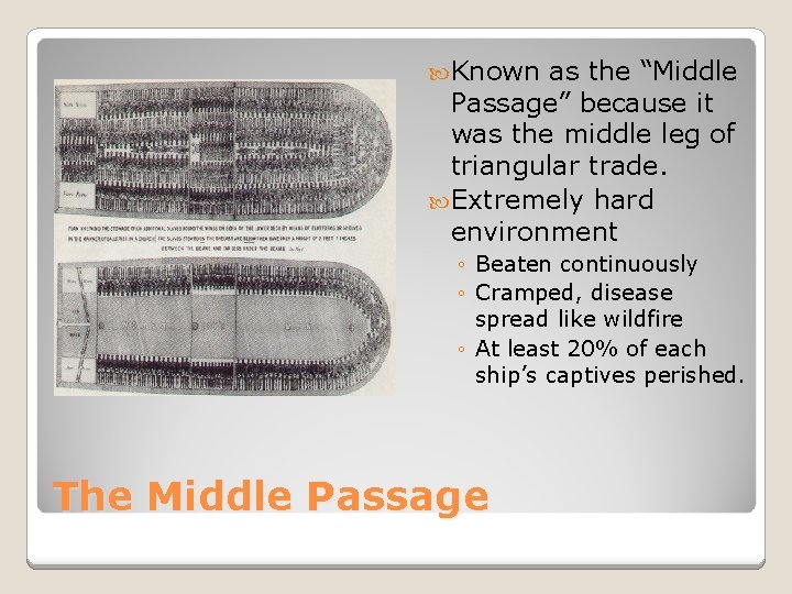  Known as the “Middle Passage” because it was the middle leg of triangular