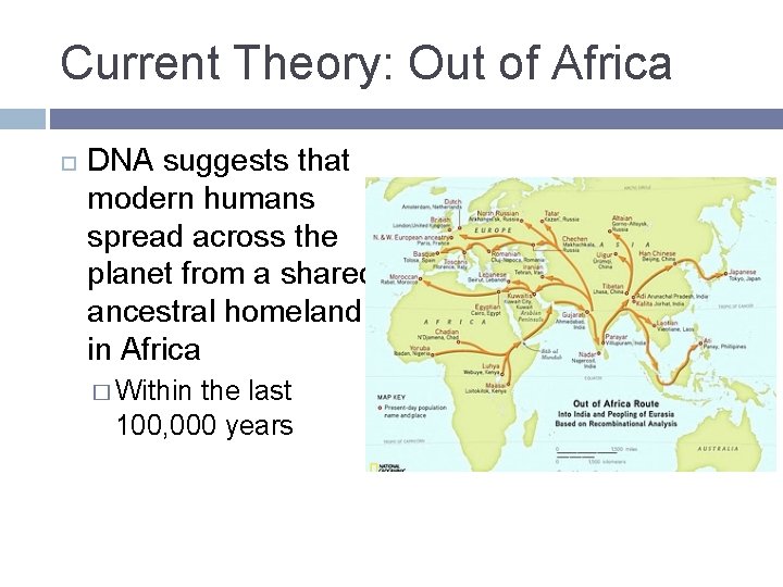 Current Theory: Out of Africa DNA suggests that modern humans spread across the planet Current Theory: Out of Africa DNA suggests that modern humans spread across the planet