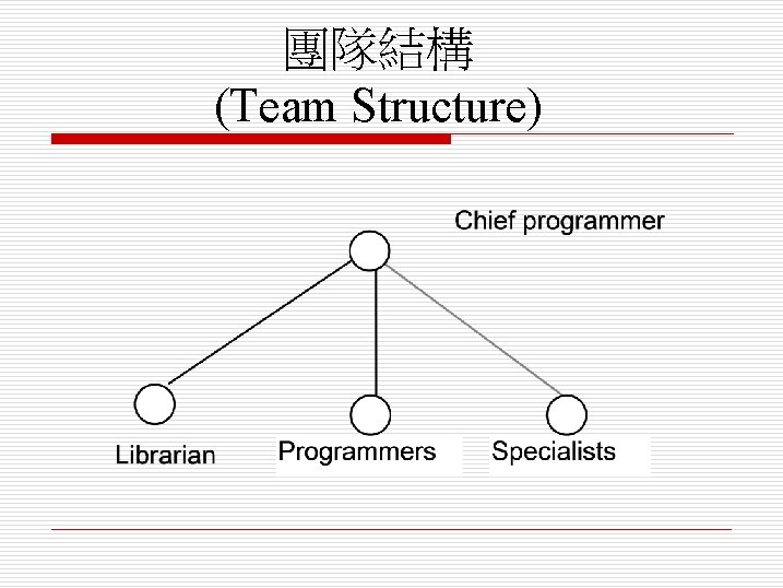 團隊結構 (Team Structure) 