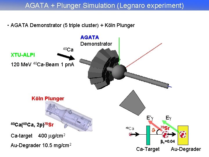 AGATA + Plunger Simulation (Legnaro experiment) • AGATA Demonstrator (5 triple cluster) + Köln