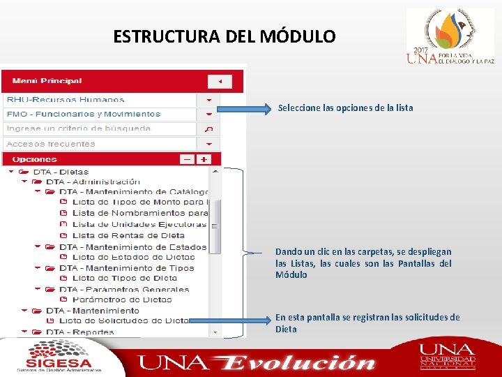 ESTRUCTURA DEL MÓDULO Seleccione las opciones de la lista Dando un clic en las