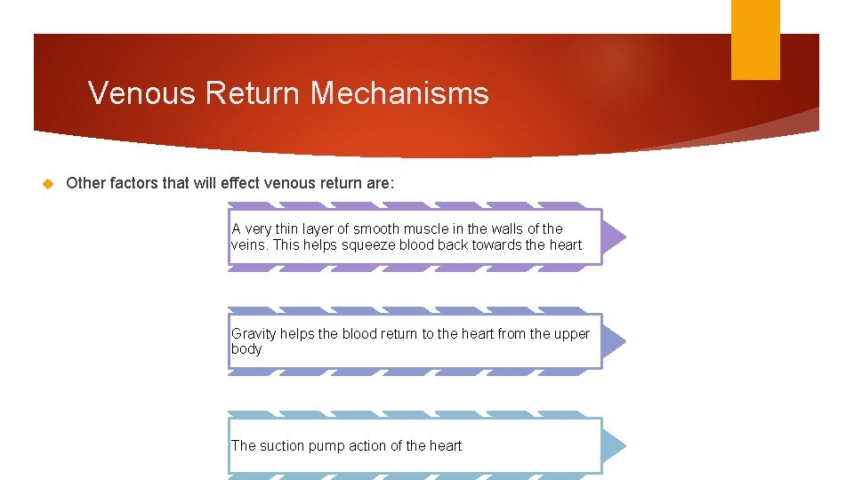 Venous Return Mechanisms Other factors that will effect venous return are: A very thin
