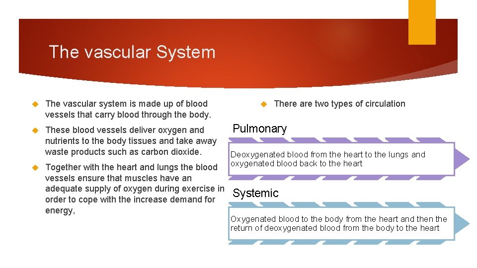 The vascular System The vascular system is made up of blood vessels that carry