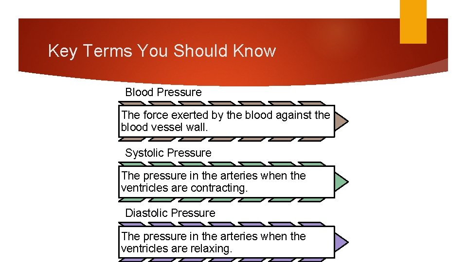 Key Terms You Should Know Blood Pressure The force exerted by the blood against
