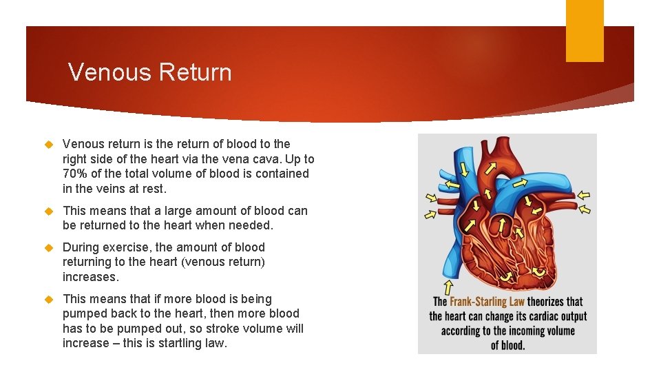 Venous Return Venous return is the return of blood to the right side of