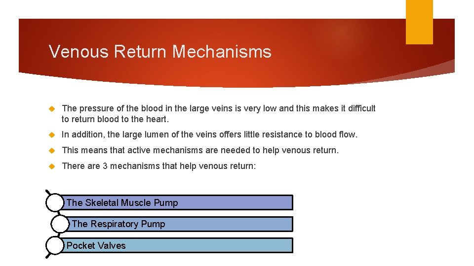 Venous Return Mechanisms The pressure of the blood in the large veins is very
