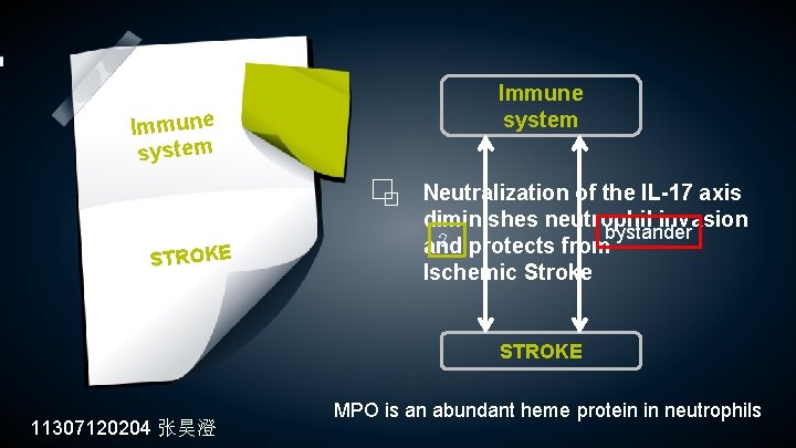 Immune system STROKE Immune system Neutralization of the IL-17 axis diminishes neutrophil invasion ? Immune system STROKE Immune system Neutralization of the IL-17 axis diminishes neutrophil invasion ?