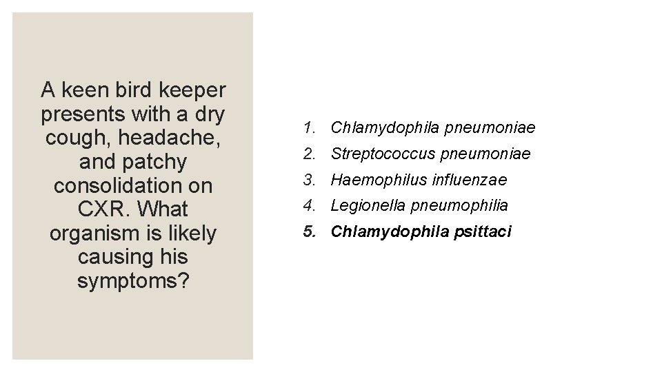 A keen bird keeper presents with a dry cough, headache, and patchy consolidation on