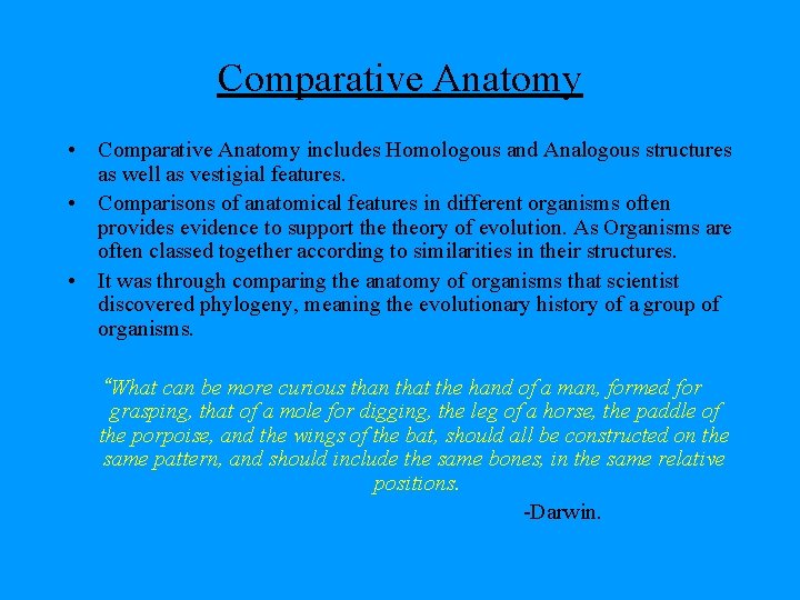 Comparative Anatomy • Comparative Anatomy includes Homologous and Analogous structures as well as vestigial