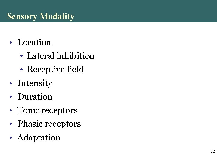 Sensory Modality • Location • Lateral inhibition • Receptive field • Intensity • Duration Sensory Modality • Location • Lateral inhibition • Receptive field • Intensity • Duration