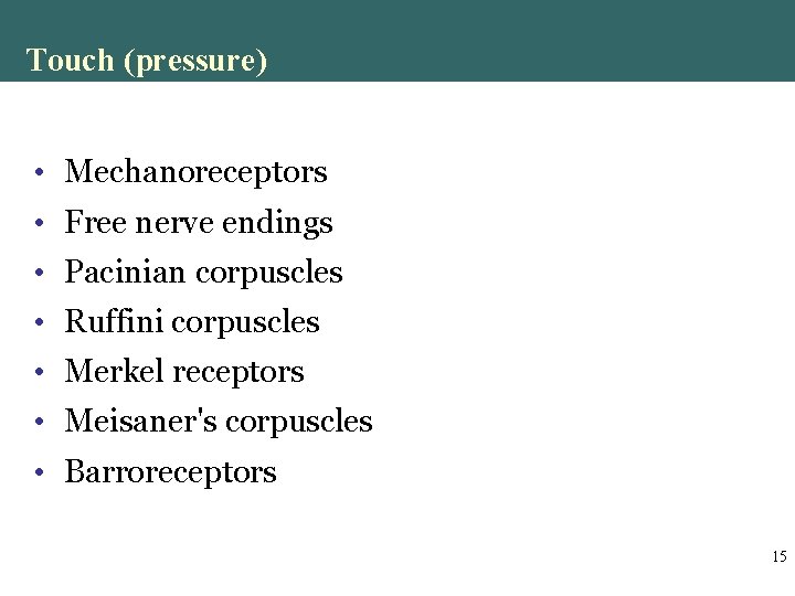Touch (pressure) • Mechanoreceptors • Free nerve endings • Pacinian corpuscles • Ruffini corpuscles Touch (pressure) • Mechanoreceptors • Free nerve endings • Pacinian corpuscles • Ruffini corpuscles