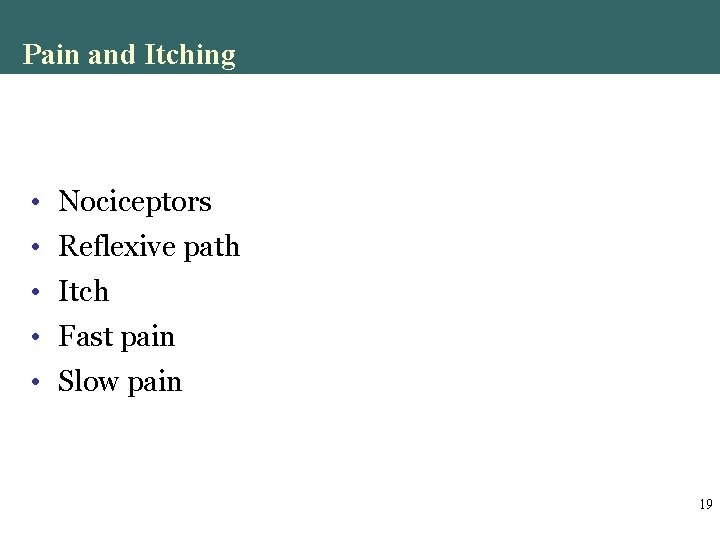 Pain and Itching • Nociceptors • Reflexive path • Itch • Fast pain • Pain and Itching • Nociceptors • Reflexive path • Itch • Fast pain •