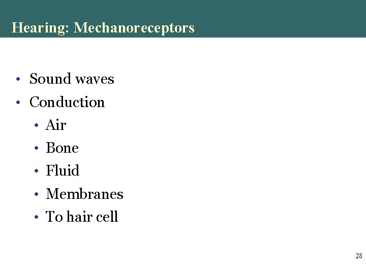 Hearing: Mechanoreceptors • Sound waves • Conduction • Air • Bone • Fluid • Hearing: Mechanoreceptors • Sound waves • Conduction • Air • Bone • Fluid •