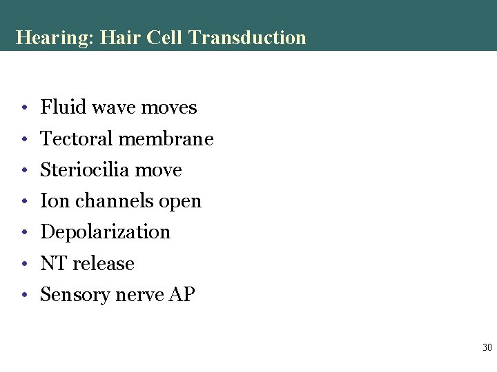 Hearing: Hair Cell Transduction • Fluid wave moves • Tectoral membrane • Steriocilia move Hearing: Hair Cell Transduction • Fluid wave moves • Tectoral membrane • Steriocilia move