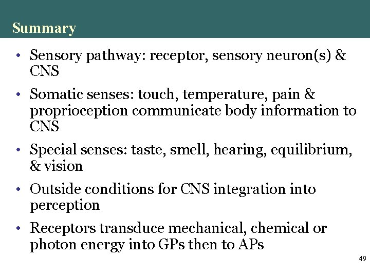 Summary • Sensory pathway: receptor, sensory neuron(s) & CNS • Somatic senses: touch, temperature, Summary • Sensory pathway: receptor, sensory neuron(s) & CNS • Somatic senses: touch, temperature,