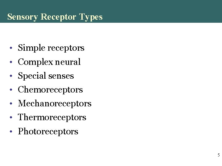 Sensory Receptor Types • Simple receptors • Complex neural • Special senses • Chemoreceptors Sensory Receptor Types • Simple receptors • Complex neural • Special senses • Chemoreceptors