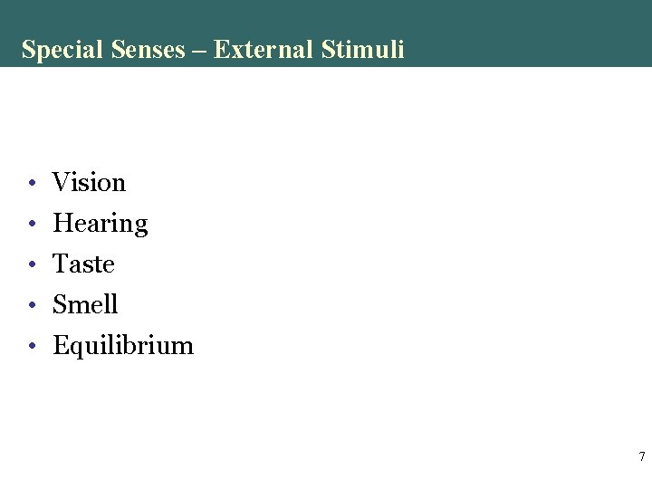 Special Senses – External Stimuli • Vision • Hearing • Taste • Smell • Special Senses – External Stimuli • Vision • Hearing • Taste • Smell •