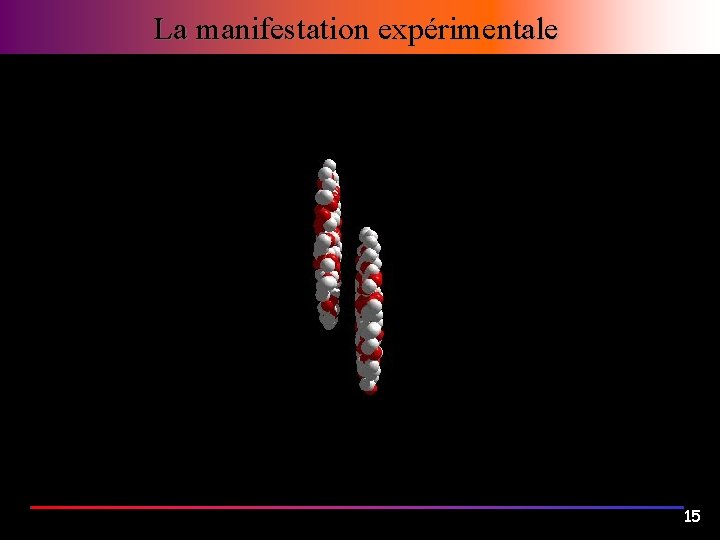 La manifestation expérimentale 15 