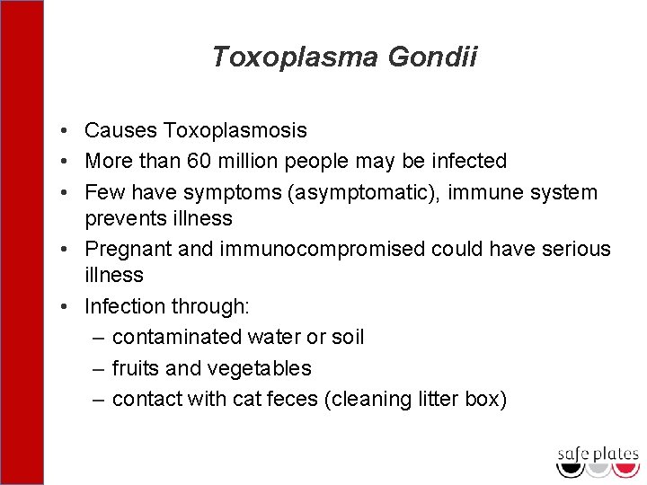 Toxoplasma Gondii • Causes Toxoplasmosis • More than 60 million people may be infected