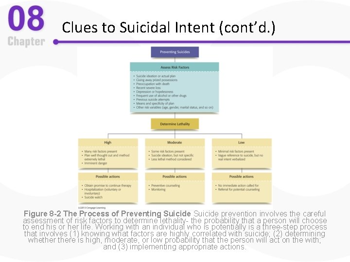 Clues to Suicidal Intent (cont’d. ) Figure 8 -2 The Process of Preventing Suicide
