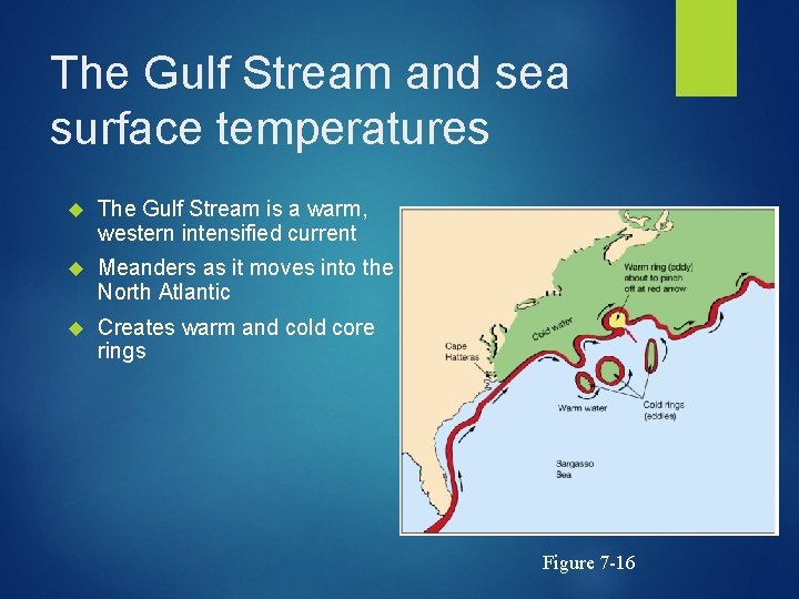 The Gulf Stream and sea surface temperatures The Gulf Stream is a warm, western