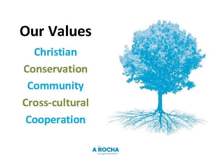 Our Values Christian Conservation Community Cross-cultural Cooperation 