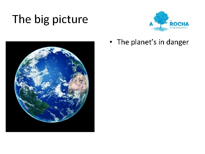 The big picture • The planet’s in danger 