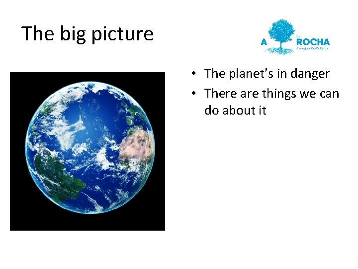 The big picture • The planet’s in danger • There are things we can