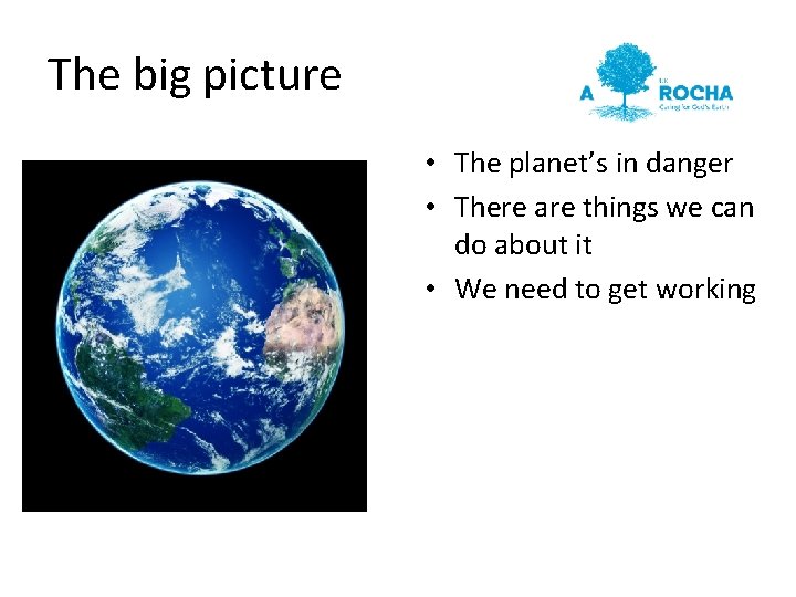 The big picture • The planet’s in danger • There are things we can