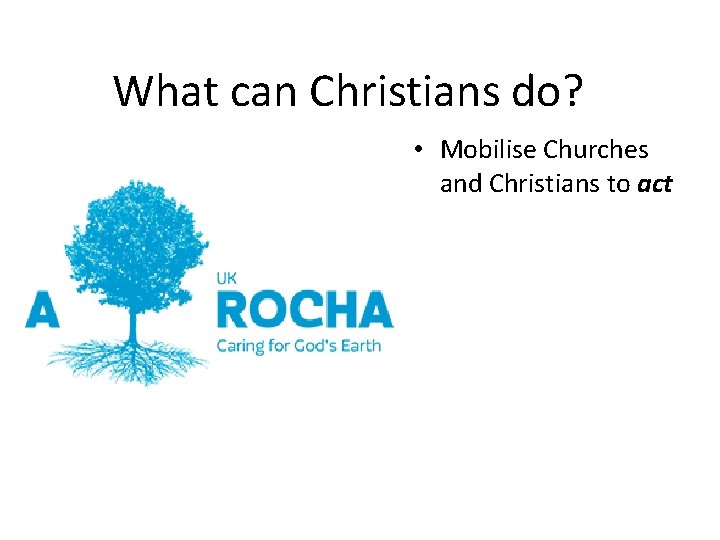 What can Christians do? • Mobilise Churches and Christians to act 