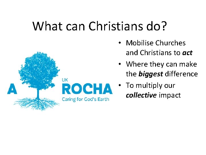 What can Christians do? • Mobilise Churches and Christians to act • Where they