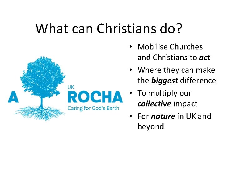 What can Christians do? • Mobilise Churches and Christians to act • Where they
