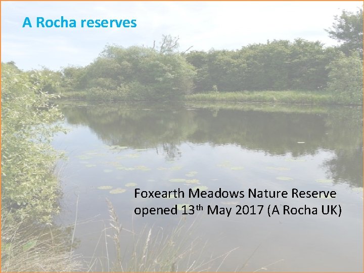 A Rocha reserves Foxearth Meadows Nature Reserve opened 13 th May 2017 (A Rocha