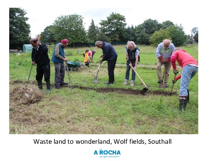 Waste land to wonderland, Wolf fields, Southall 