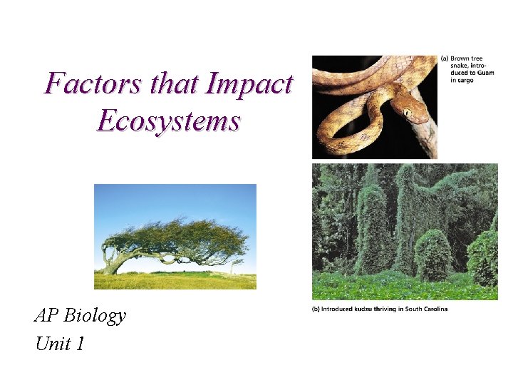 Factors that Impact Ecosystems AP Biology Unit 1 