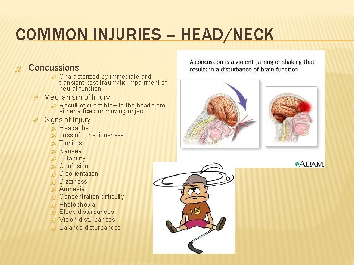 COMMON INJURIES – HEAD/NECK Concussions Mechanism of Injury Characterized by immediate and transient post-traumatic