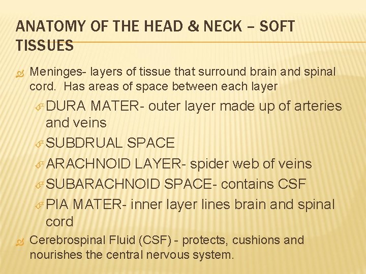 ANATOMY OF THE HEAD & NECK – SOFT TISSUES Meninges- layers of tissue that
