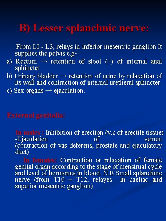 B) Lesser splanchnic nerve: From LI - L 3, relays in inferior mesentric ganglion