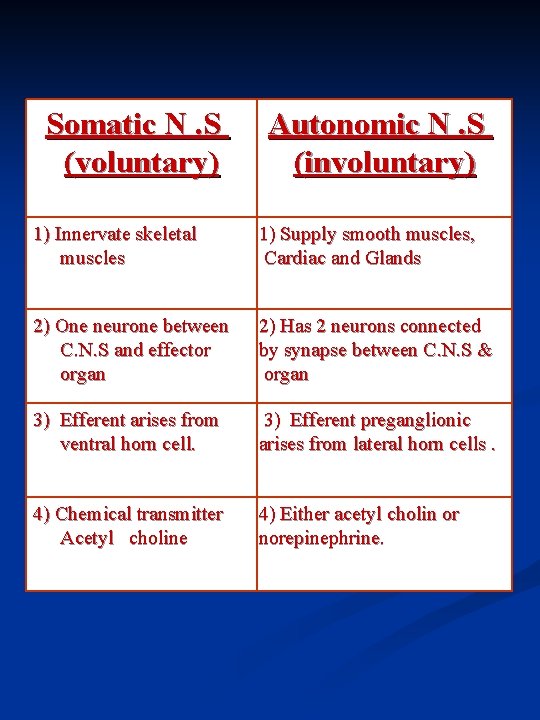 Somatic N. S (voluntary) Autonomic N. S (involuntary) 1) Innervate skeletal muscles 1) Supply