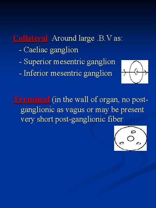 Collateral: Around large. B. V as: - Caeliac ganglion - Superior mesentric ganglion -