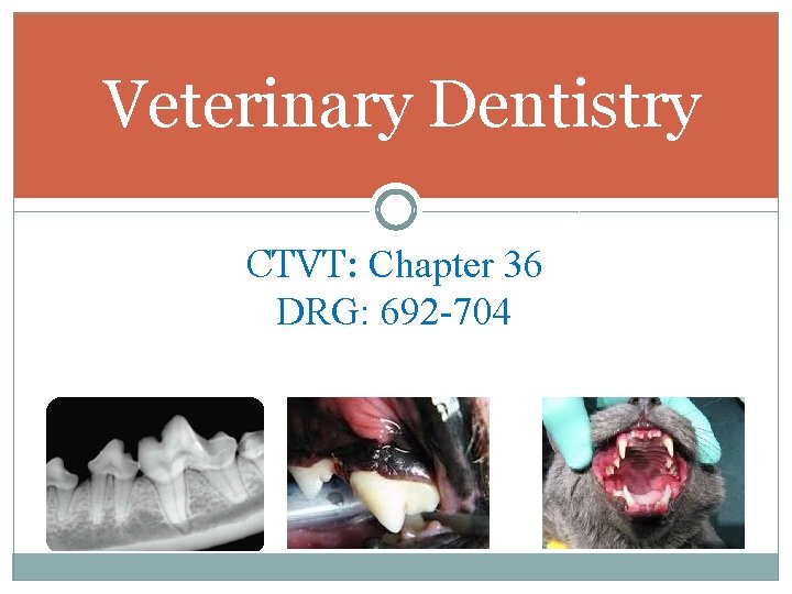Veterinary Dentistry CTVT: Chapter 36 DRG: 692 -704 