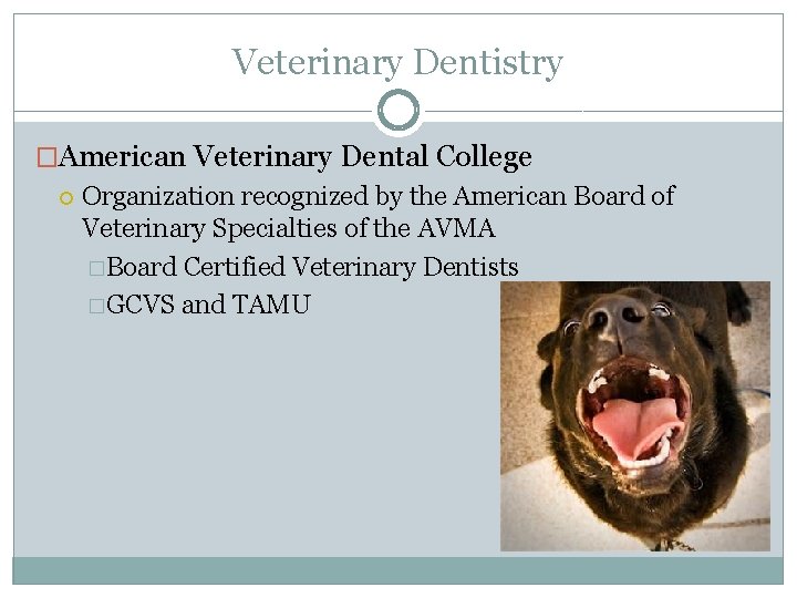 Veterinary Dentistry �American Veterinary Dental College Organization recognized by the American Board of Veterinary