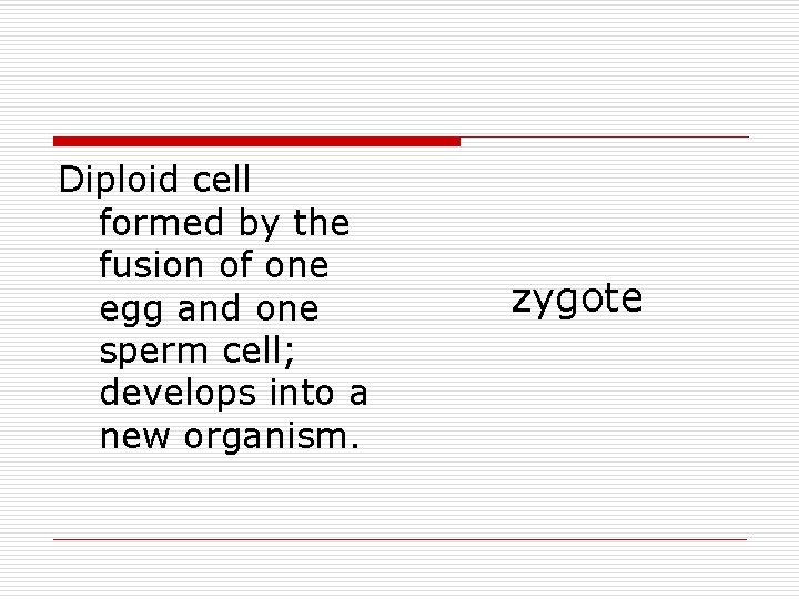 Diploid cell formed by the fusion of one egg and one sperm cell; develops