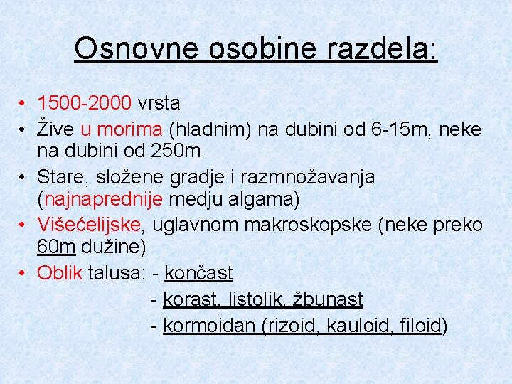 Osnovne osobine razdela: • 1500 -2000 vrsta • Žive u morima (hladnim) na dubini