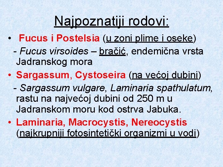 Najpoznatiji rodovi: • Fucus i Postelsia (u zoni plime i oseke) - Fucus virsoides