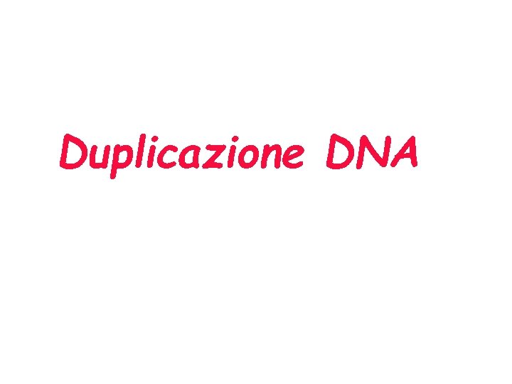 Duplicazione DNA 