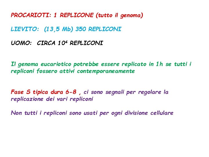 PROCARIOTI: 1 REPLICONE (tutto il genoma) LIEVITO: (13, 5 Mb) 350 REPLICONI UOMO: CIRCA