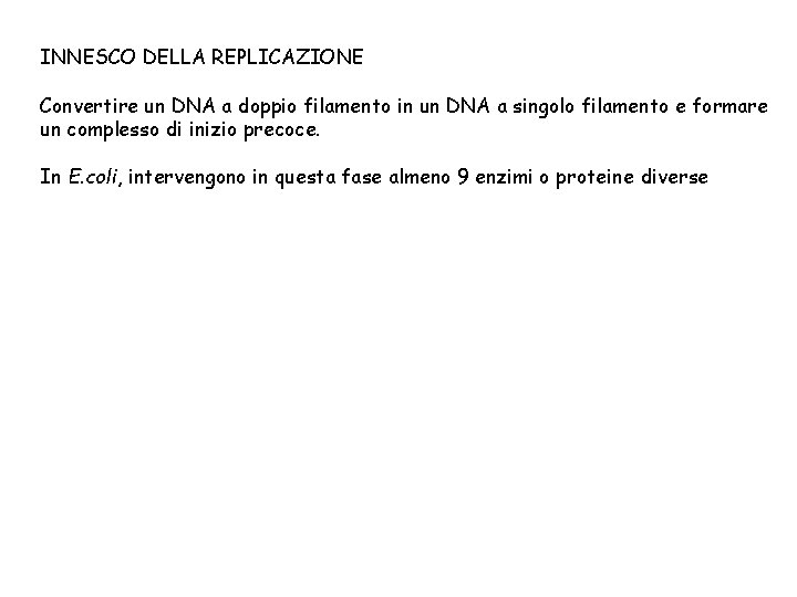 INNESCO DELLA REPLICAZIONE Convertire un DNA a doppio filamento in un DNA a singolo