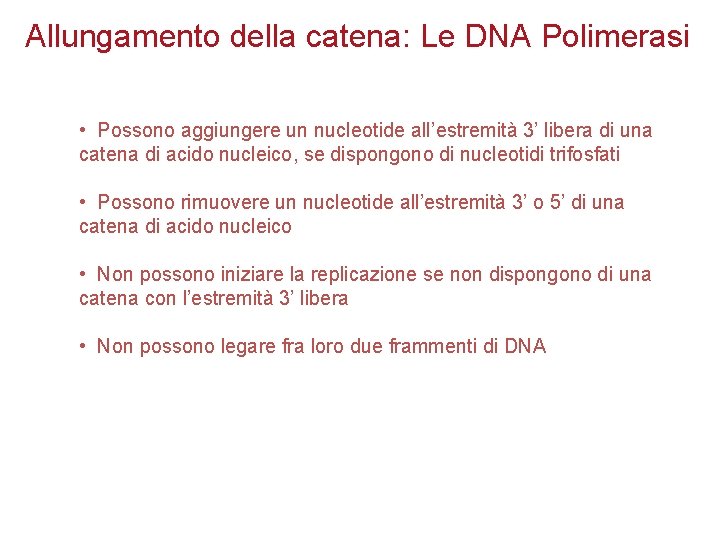 Allungamento della catena: Le DNA Polimerasi • Possono aggiungere un nucleotide all’estremità 3’ libera