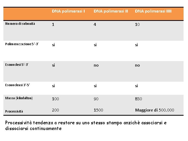 DNA polimerasi IIII Numero di subunità 1 4 10 Polimerazzazione 5’-3’ si si si